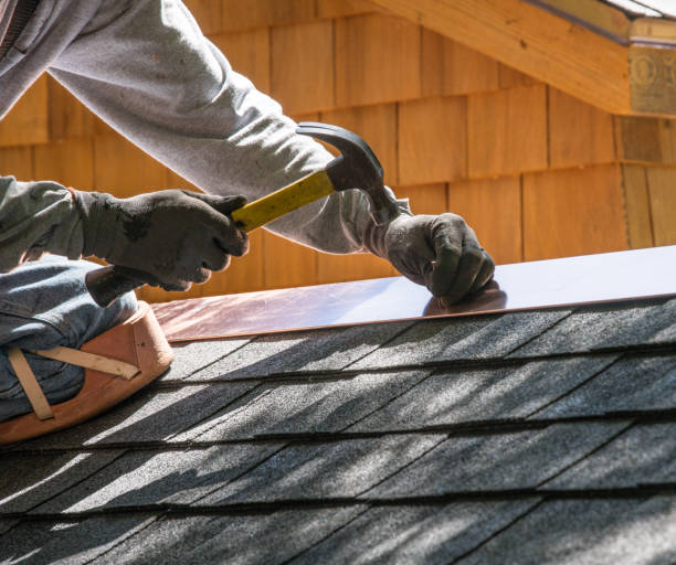 Best Metal Roofing Contractor  in , DC
